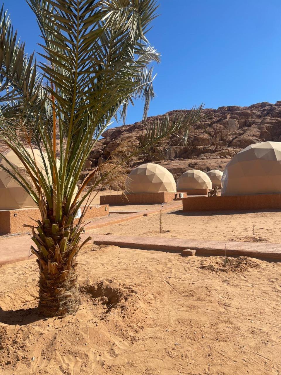 Wadi Rum Aviva Camp المظهر الخارجي الصورة