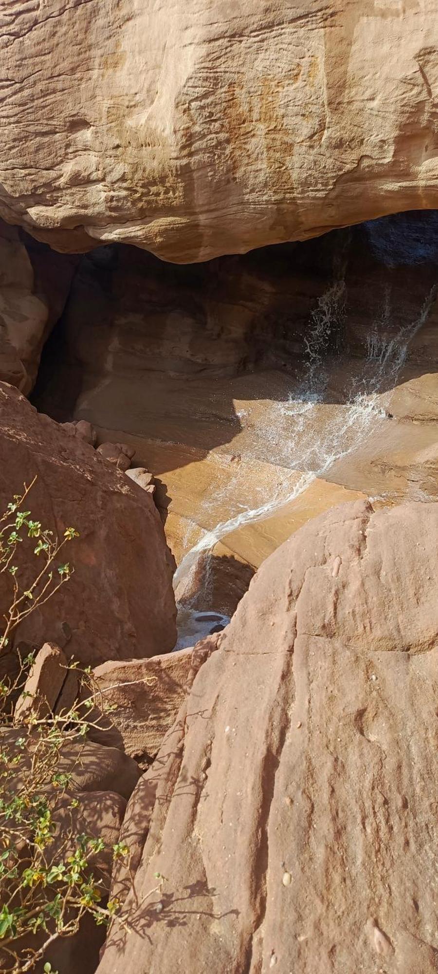 Wadi Rum Aviva Camp المظهر الخارجي الصورة