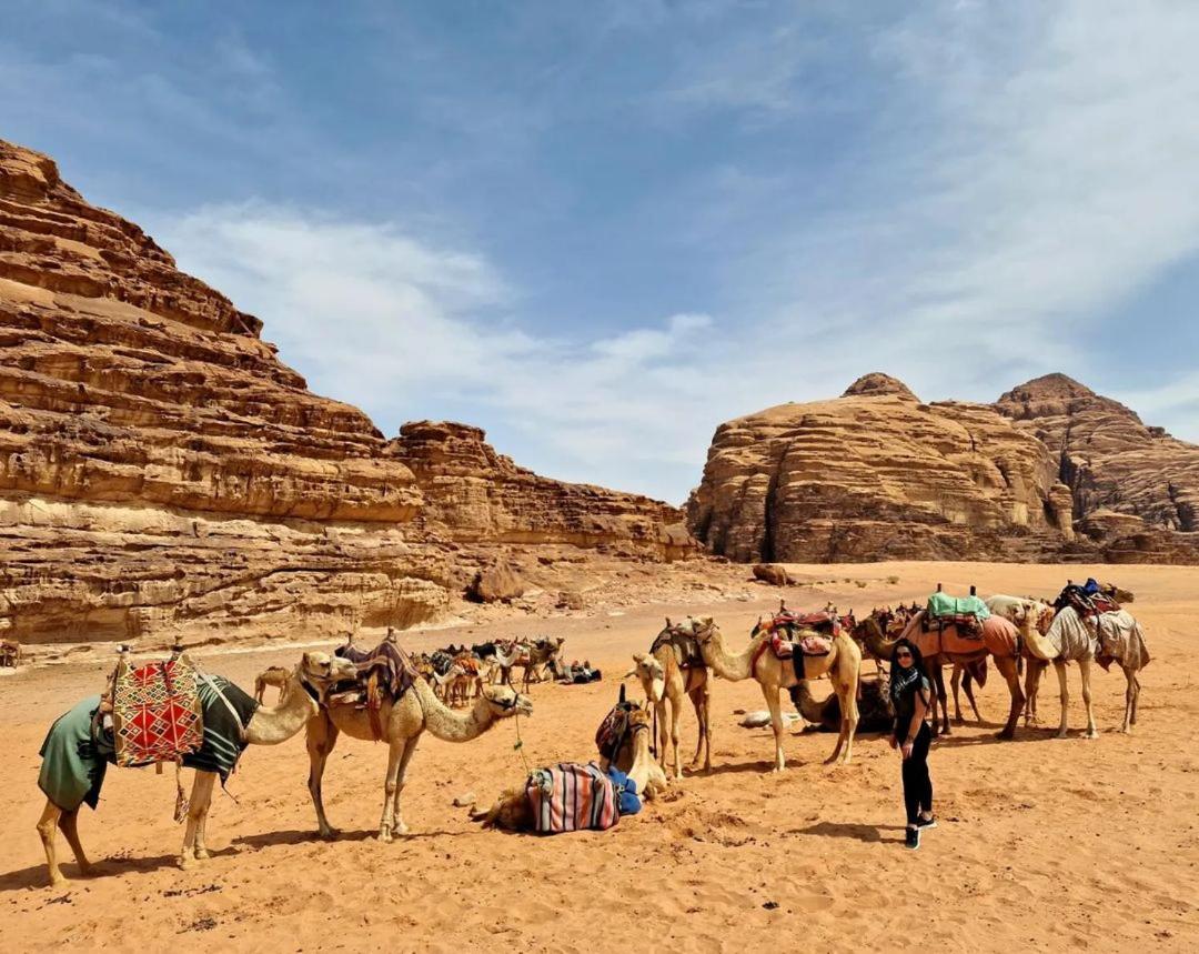 Wadi Rum Aviva Camp المظهر الخارجي الصورة